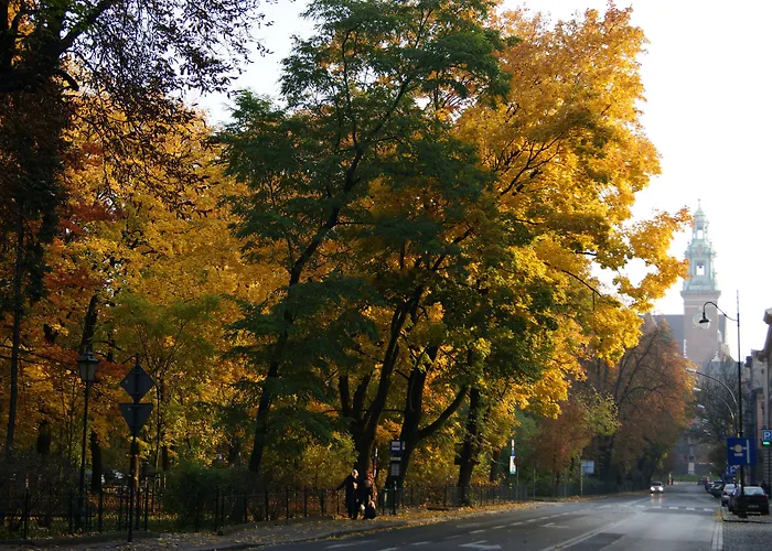 아파트호텔 Straszewskiego 24 Boutique 크라쿠프